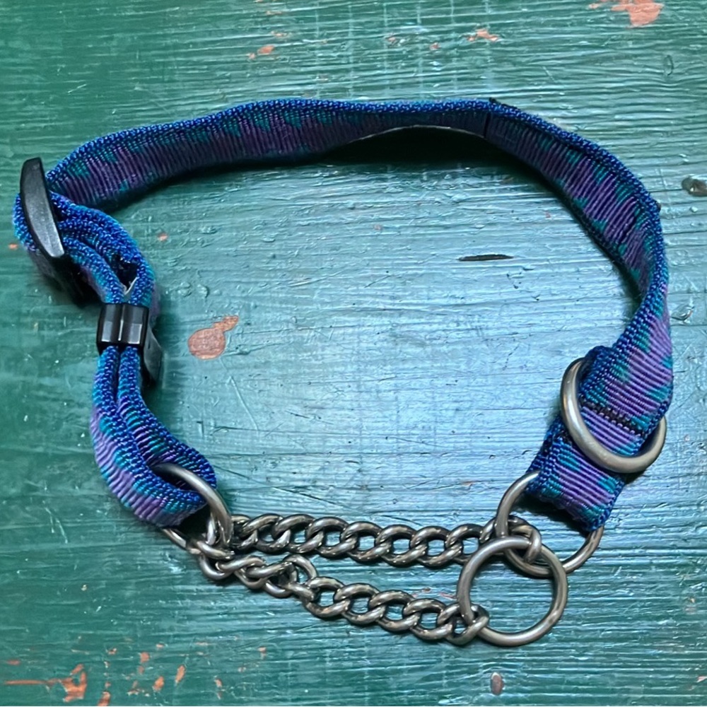 Gently Used Dog Collar